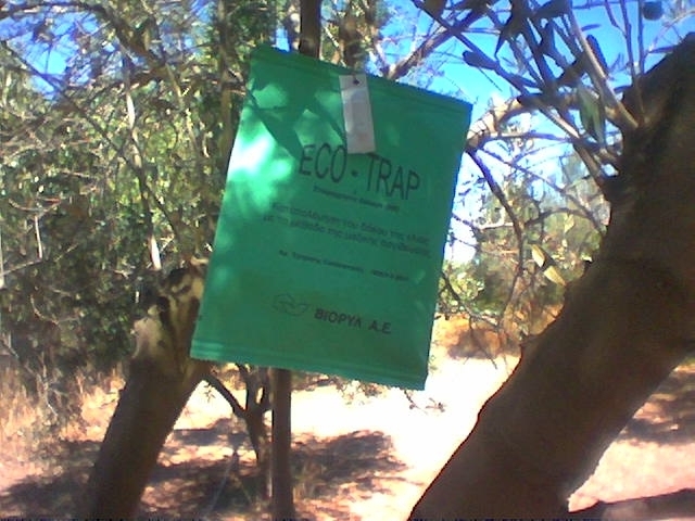 organic-cultivation2.jpg